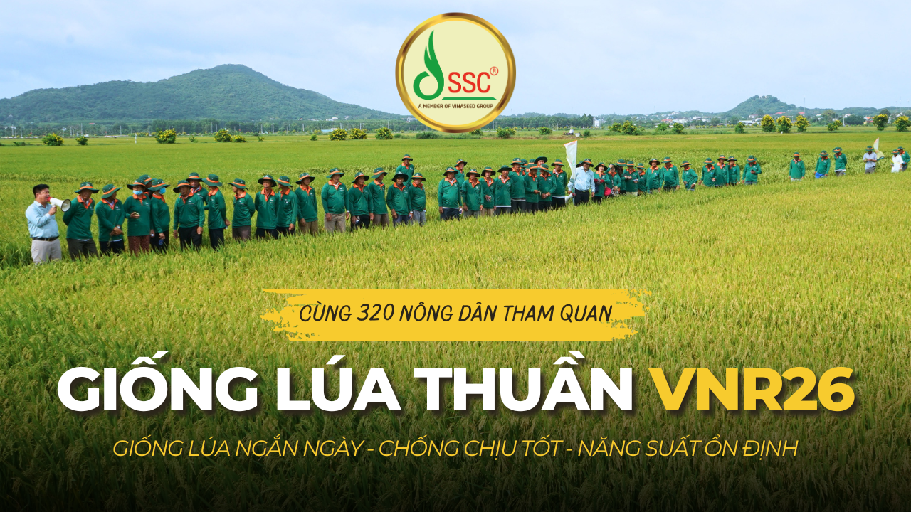 HTV1 THỜI SỰ - SSC ĐỒNG HÀNH CÙNG 320 NÔNG DÂN THAM QUAN MÔ HÌNH VNR26