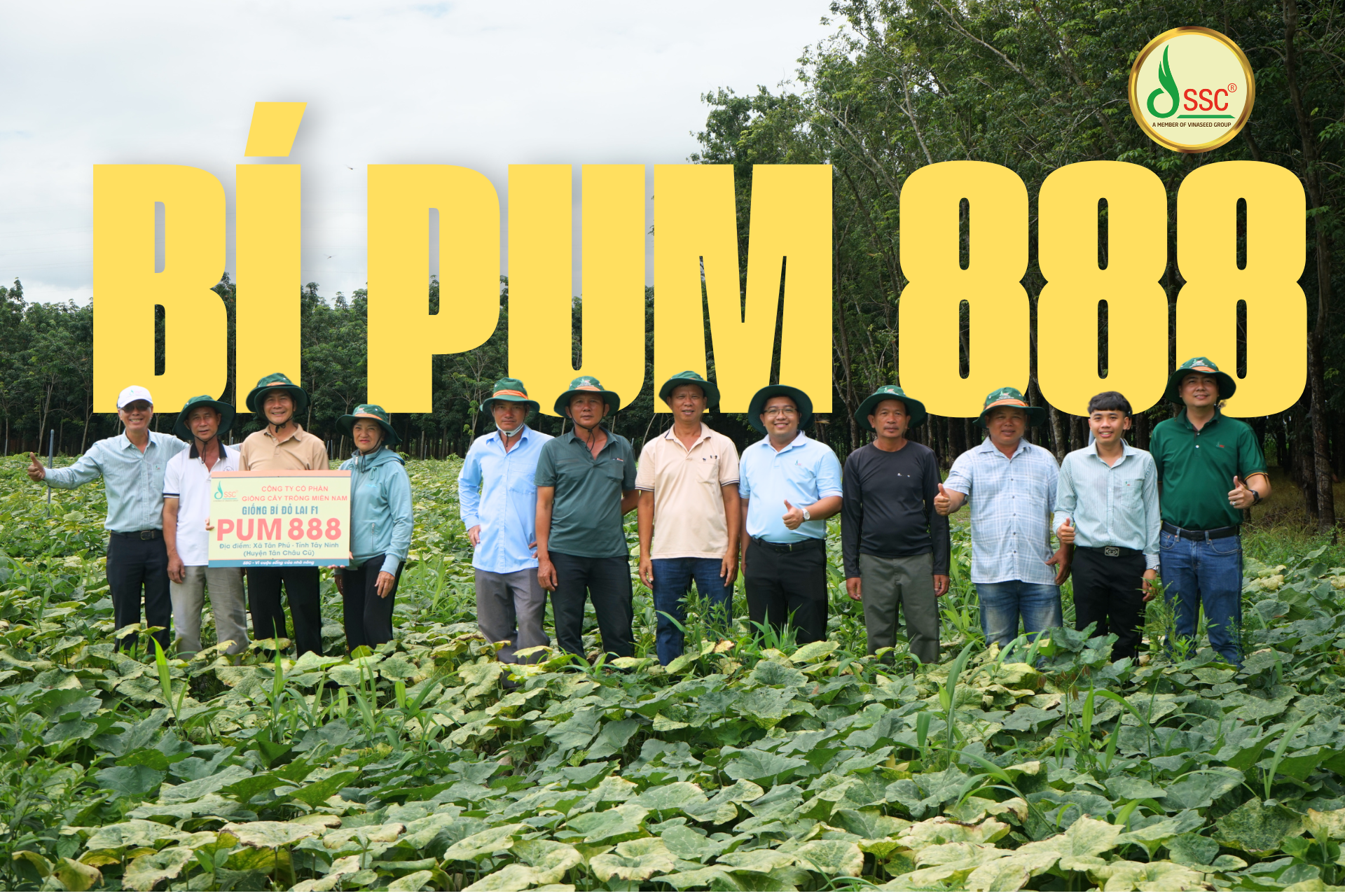 THAM QUAN ĐÁNH GIÁ VÀ TẬP HUẤN GIỐNG BÍ ĐỎ LAI F1 PUM 888
