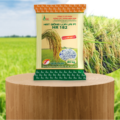 Hybrid Rice Seed HR 182