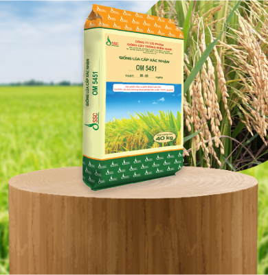Certified Rice Seed OM 5451